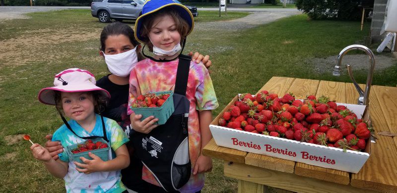 N-Post-Strawberries-4.jpg